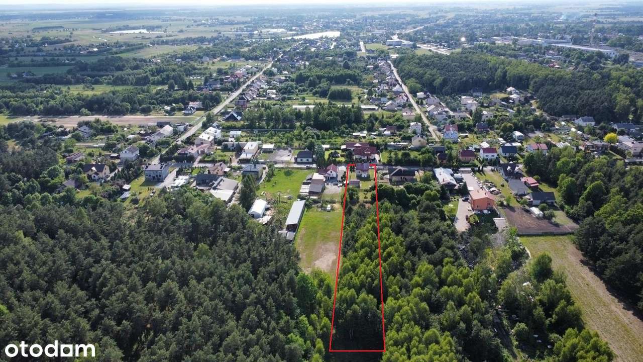 FILM / Duża działka z lasem ! Wysokie poddasze ! - Pełny obrazek: 4/20