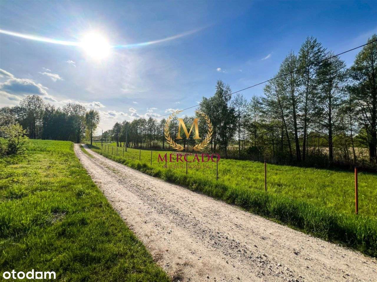 Dom na dużej działce 1,4 ha – Komorowo k. Izbicy K - Pełny obrazek: 3/20