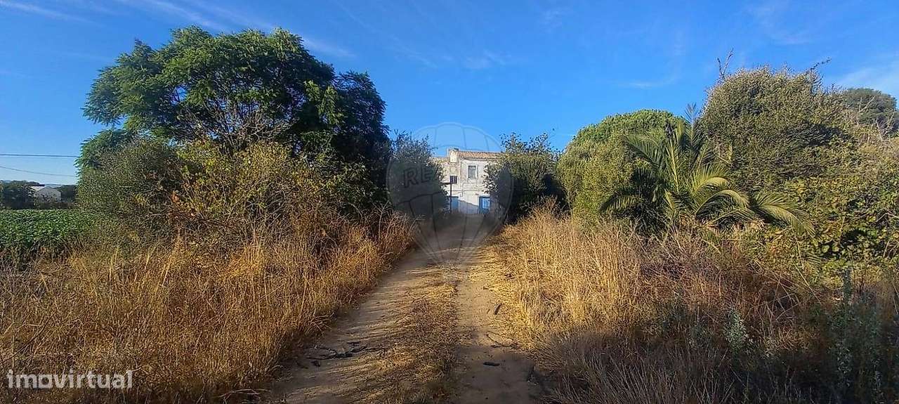 Moradia T5 para venda - Grande imagem: 4/25