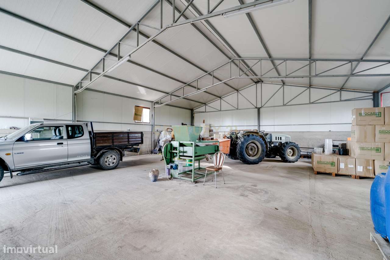 Moradia, 183 m², Amareleja-28