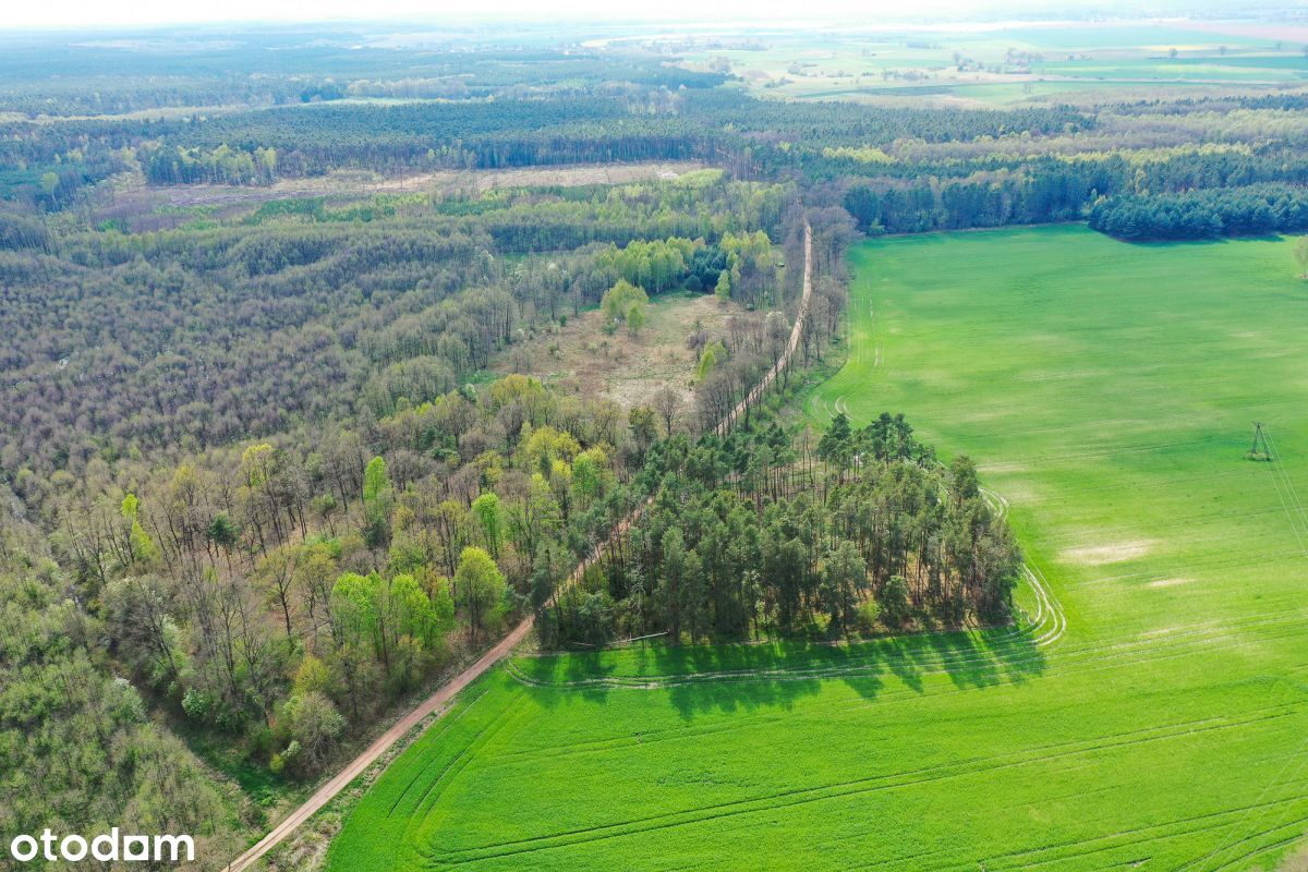 Działka rolno-leśna pod Wołowem