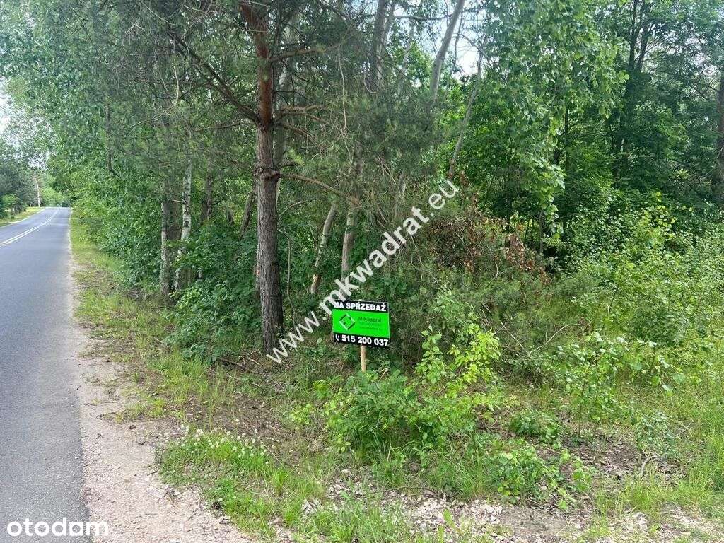⭐⭐⭐⭐⭐ Ładna zalesiona działka z Mpzp ⭐⭐⭐⭐⭐-0