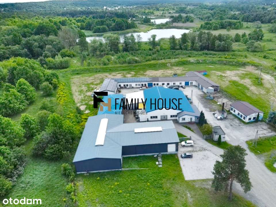 Hale 1884m2 na działce 9633m2 przy trasie S7 - Pełny obrazek: 4/20