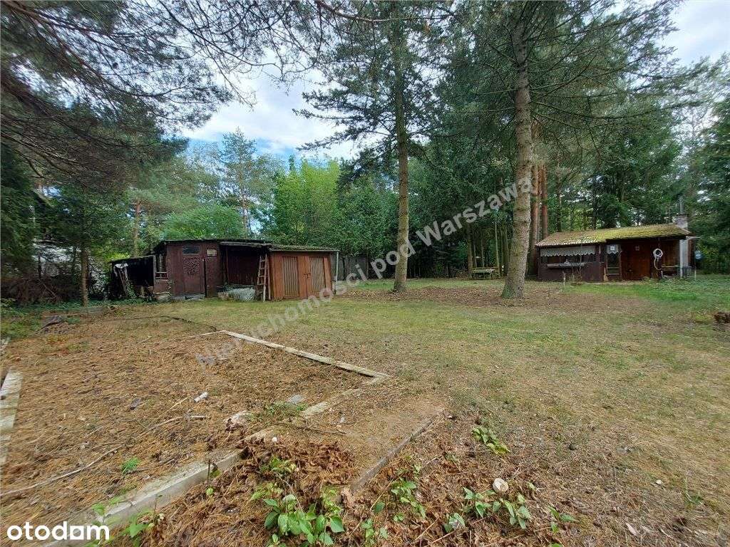 Cisza, Zieleń, Rzeka I Ona - Działka W Łosiu.-9