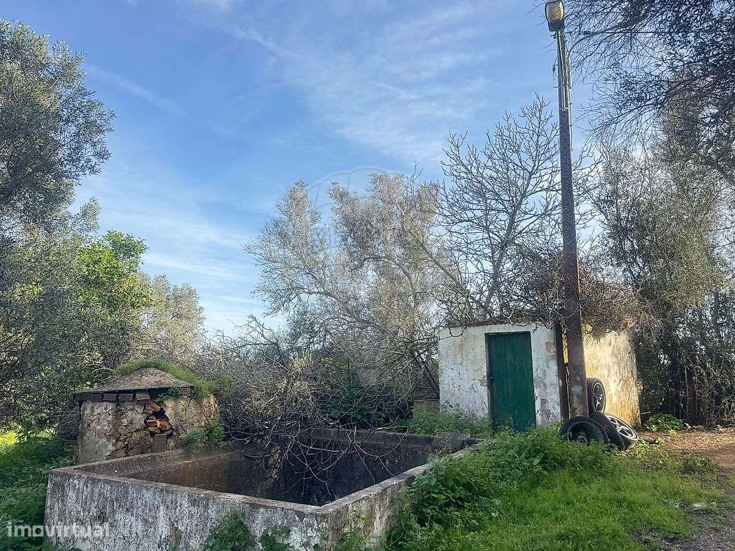 Terreno  para venda - Grande imagem: 4/10