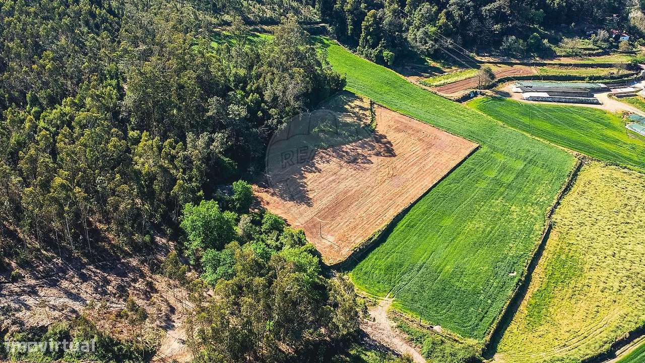 Moradia T4 para venda-11