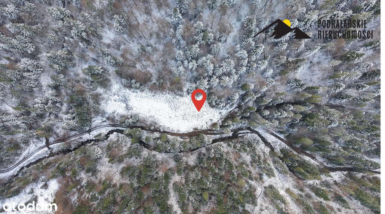 Polana w Gorcach w spokojnej okolicy-1