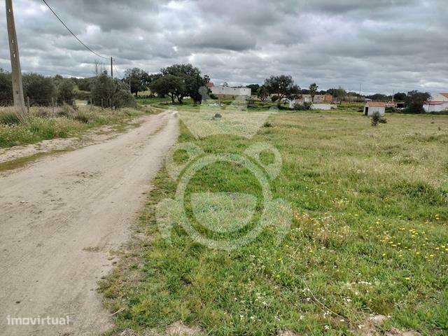 Terreno à venda 0,5ha em Évora - Grande imagem: 3/8