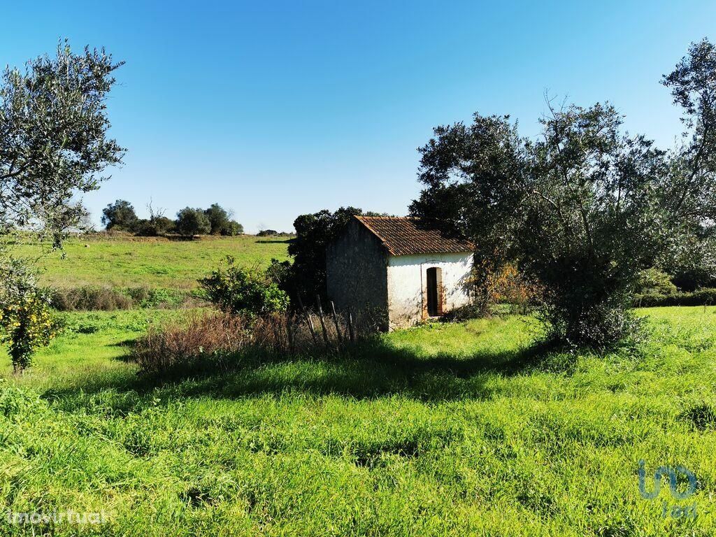 Terreno para construção em Santarém de 9790,00 m2