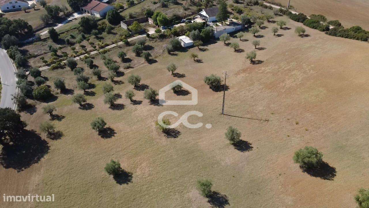 Terreno Rústico com 25.240 m² em Ferras, Gavata, Torres Novas – RAN-26