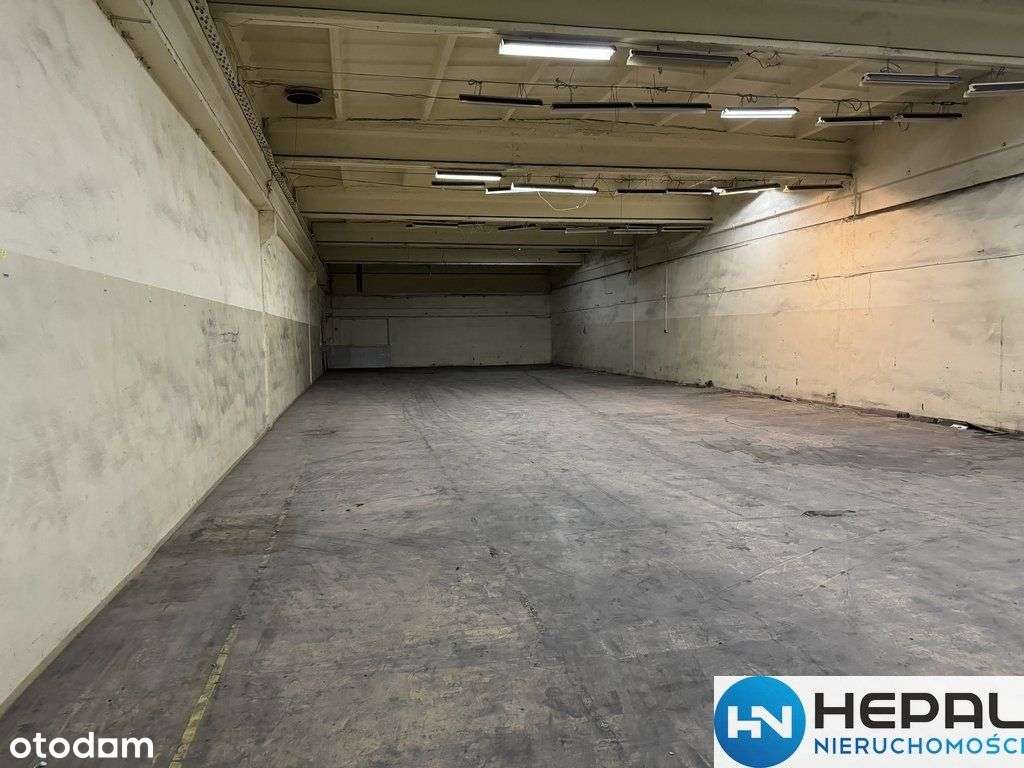 do wynajęcia magazyn 992 m2 - Pełny obrazek: 3/4