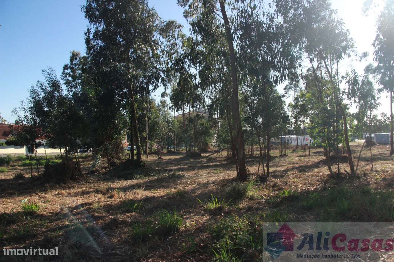 Excelente Terreno P/Construção em Altura-13