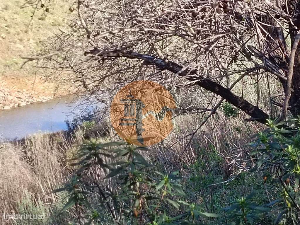 TERRENO RÚSTICO COM 7.560 M2 - NA BARRAGEM DO BELICHE - CASTRO MARI... - Grande imagem: 4/29