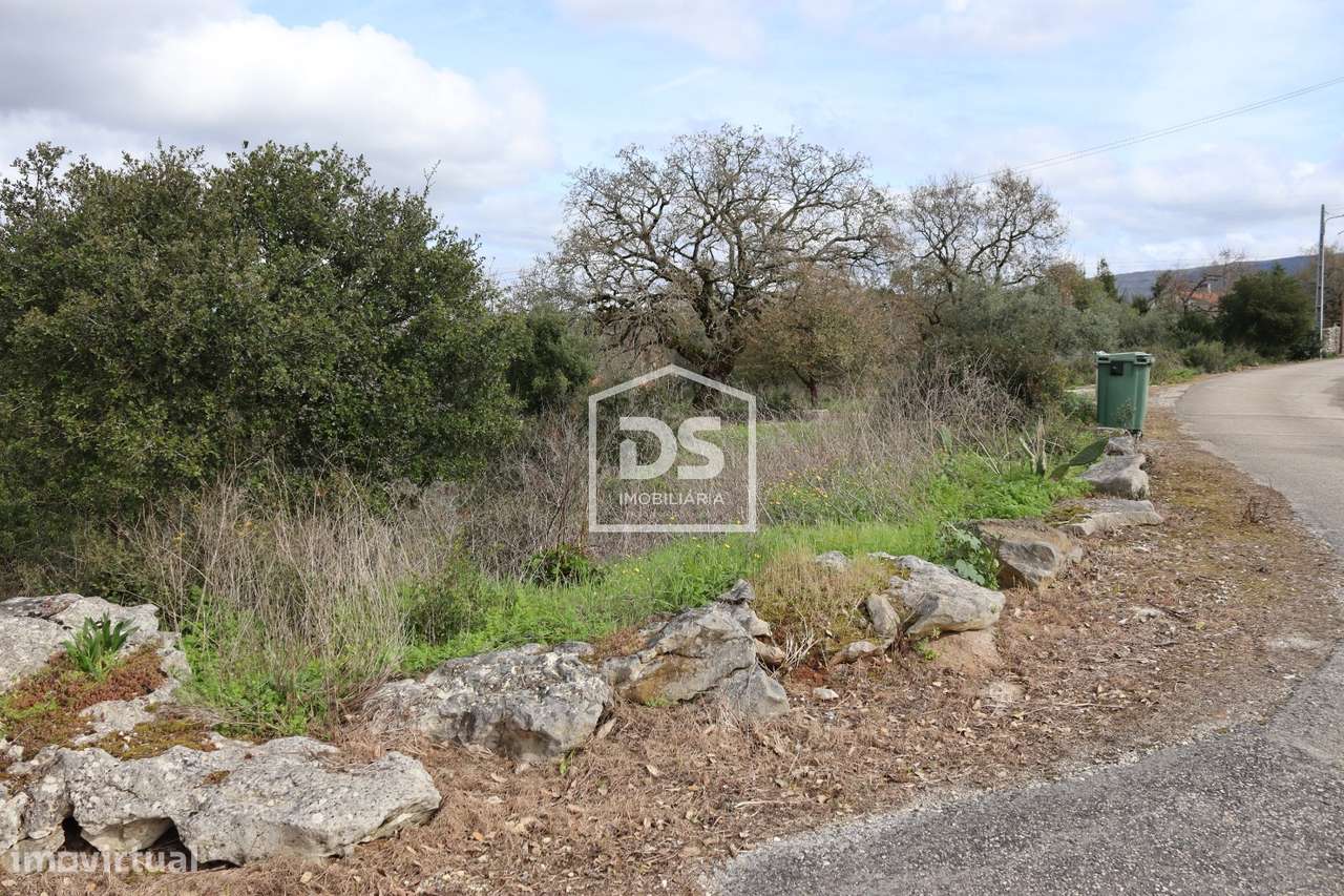 Moradia Devoluta T3 Venda em Aljubarrota,Alcobaça - Grande imagem: 5/6