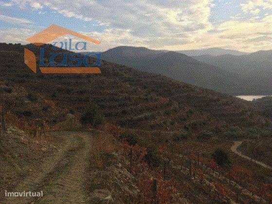 Quinta no Douro Superior 70 ha. - Grande imagem: 5/11