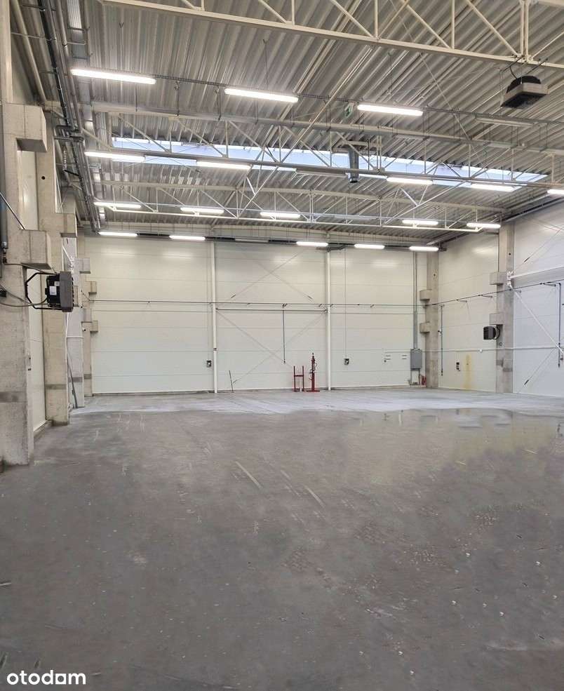 Gm. Suchy Las SAMODZIELNY obiekt 1805m2(hala+biuro)dz.4019m 0 PROWIZJI - Pełny obrazek: 5/12