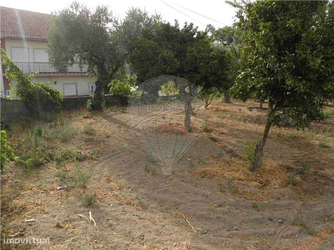 Quinta T0 para venda - Grande imagem: 3/40