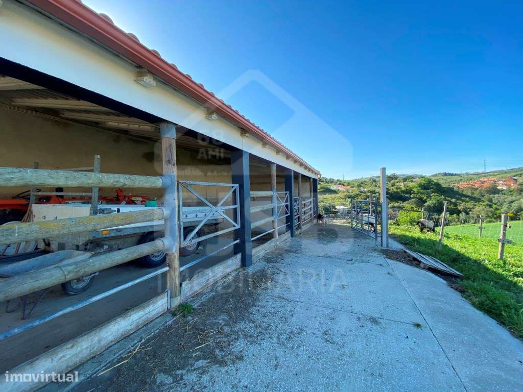 Excelente Quinta na Subserra, Alhandra - Vista Magnifica-53