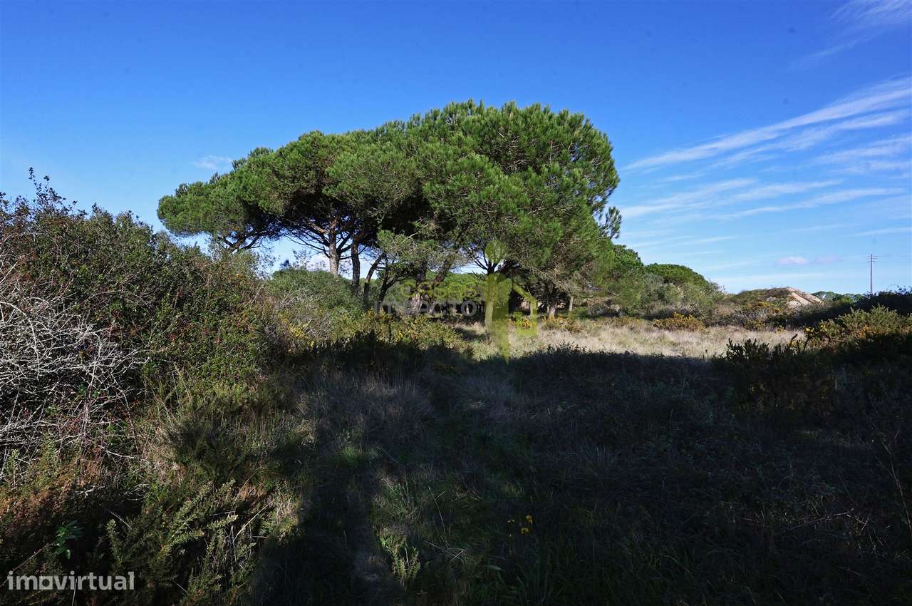 Terreno Rústico com 4.680m2 a venda na Terrugem-10