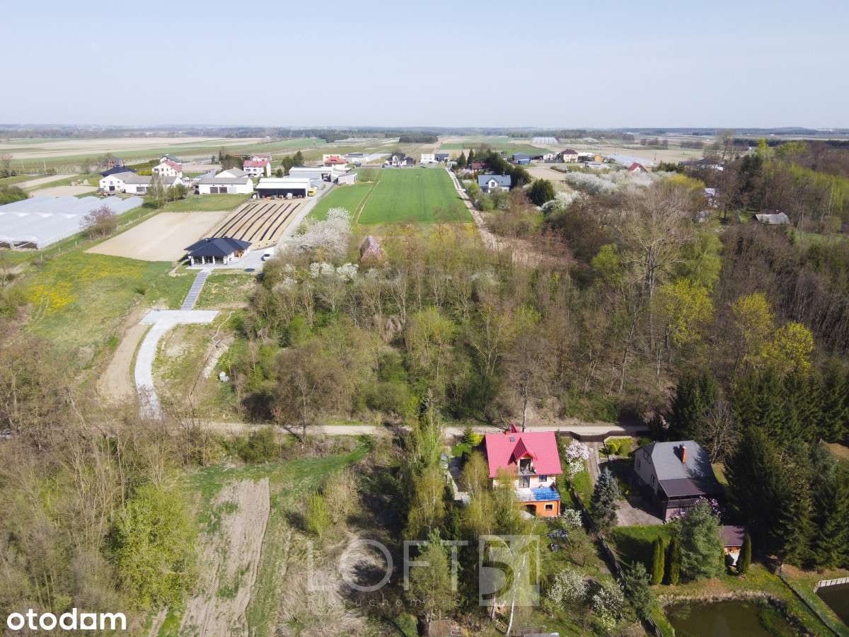 Działka nad Pilicą - Pełny obrazek: 5/9