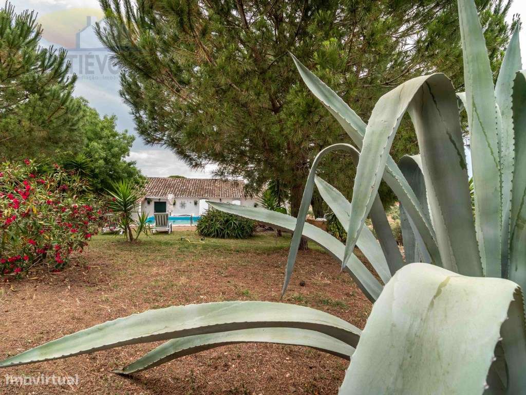 Quinta com 16 ha, com 4 Moradias Unifamiliares, piscina e várias ár...-57