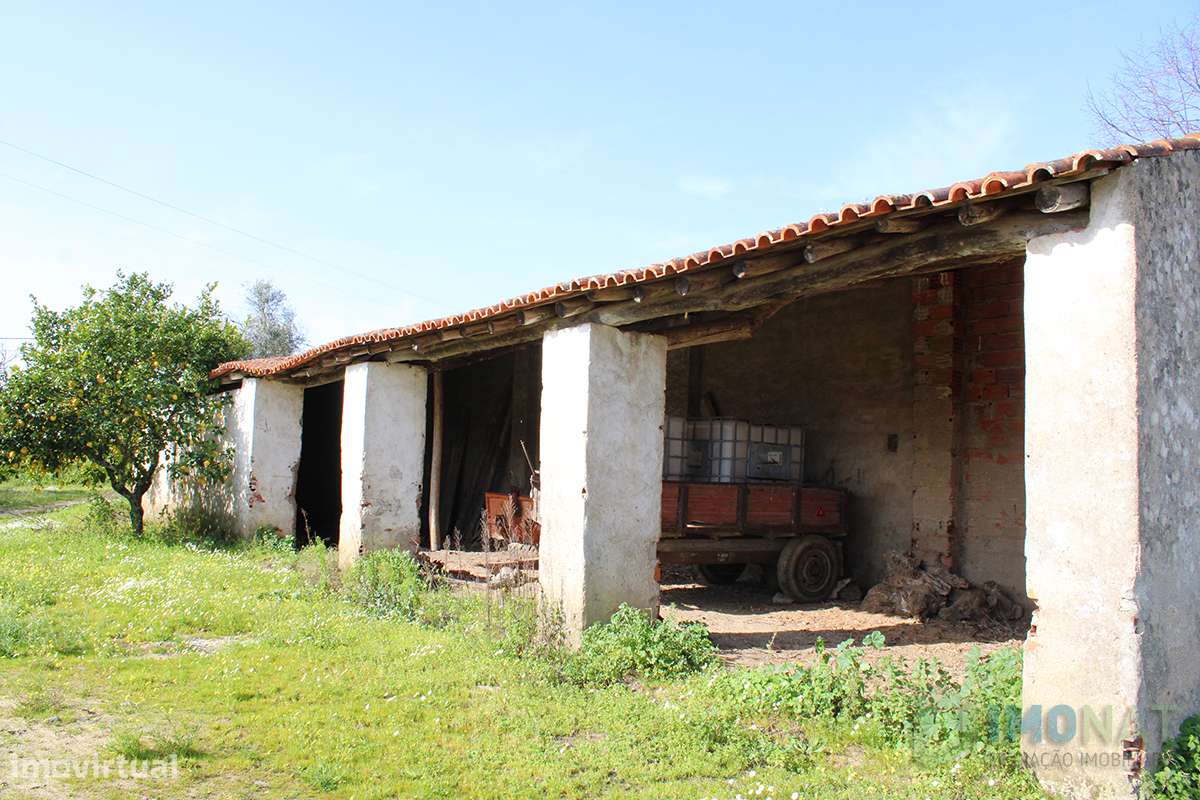Herdade - Grande imagem: 5/50