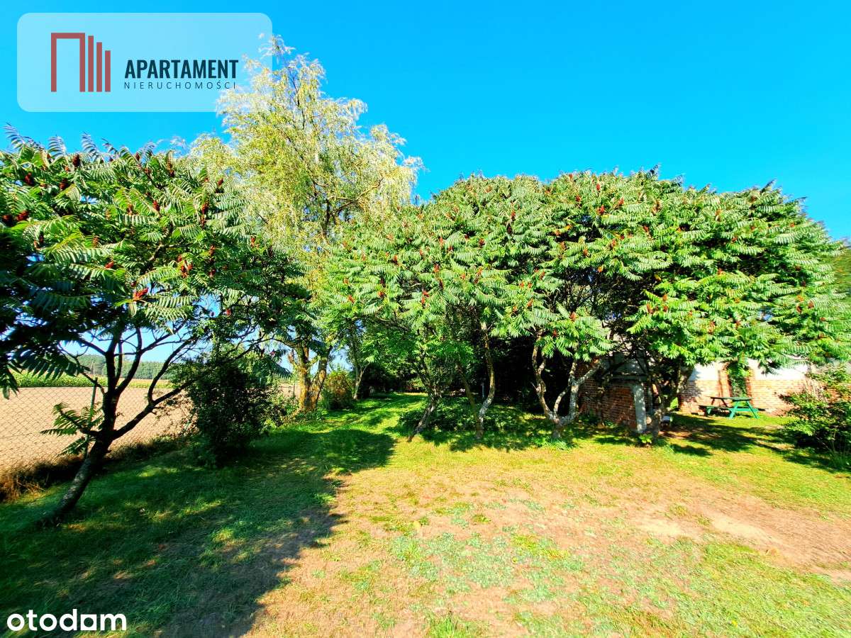 Magiczne siedlisko w Borach Tucholskich! - Pełny obrazek: 5/20