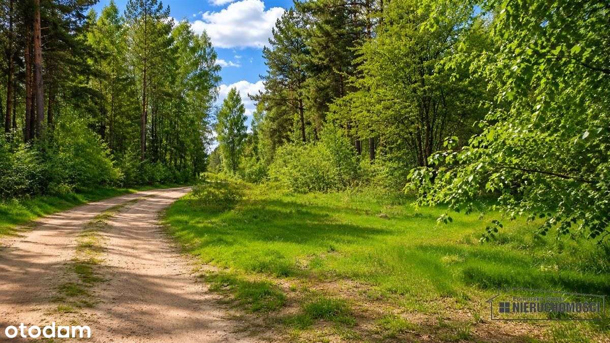 Cisza, las i jezioro – działka budowlana-11