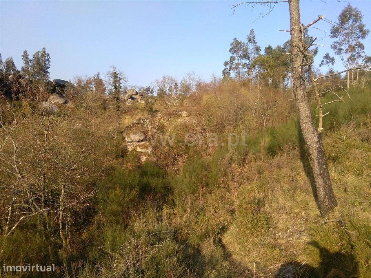 Terreno em Travassós - Grande imagem: 4/5