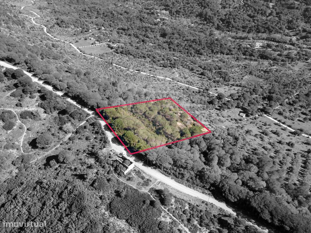 Terreno  para venda - Grande imagem: 3/17