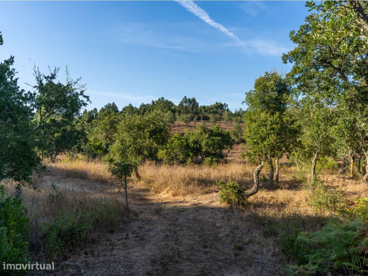 Quintinha Alfambras - Grande imagem: 4/21