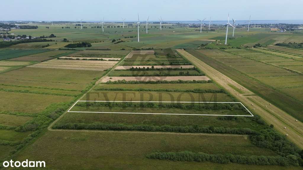 Działka rolna Gnieżdżewo 6000m2 - Pełny obrazek: 5/9