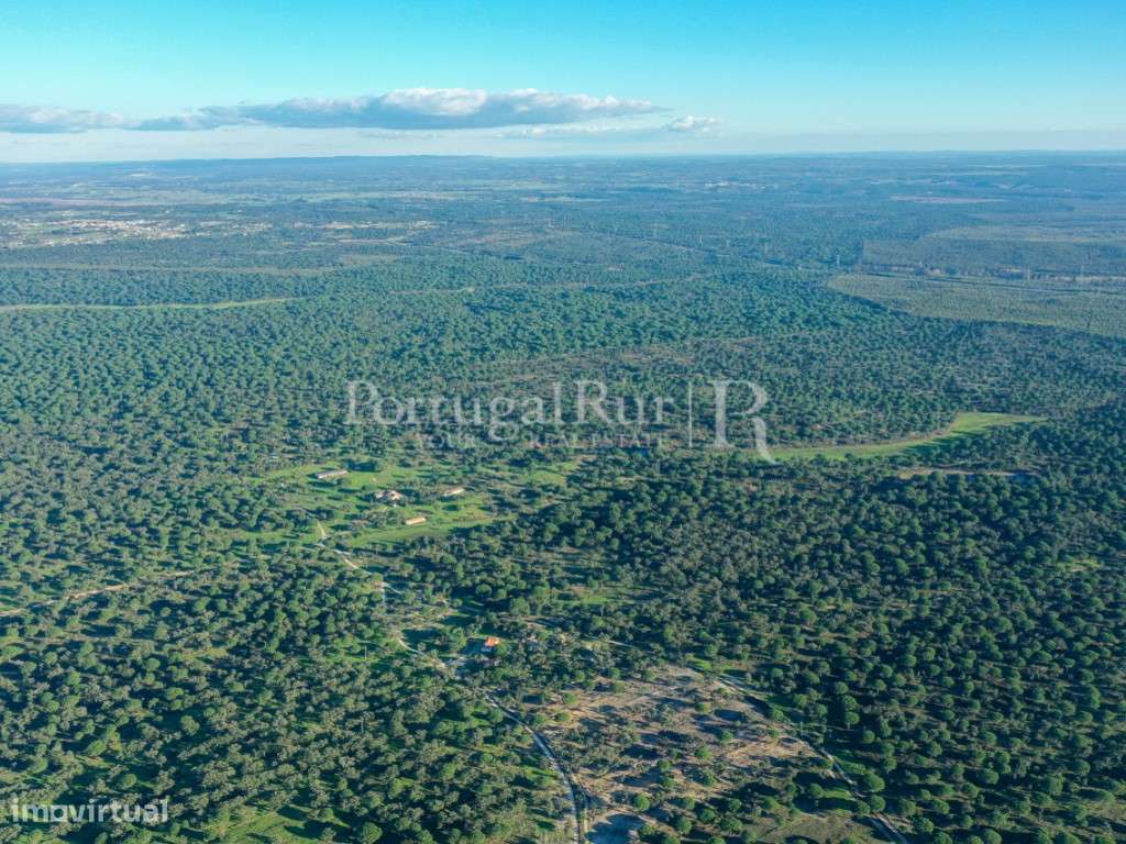 Herdade com 659 hectares com montado, pinhal e várzeas em Vendas Novas - Grande imagem: 4/28