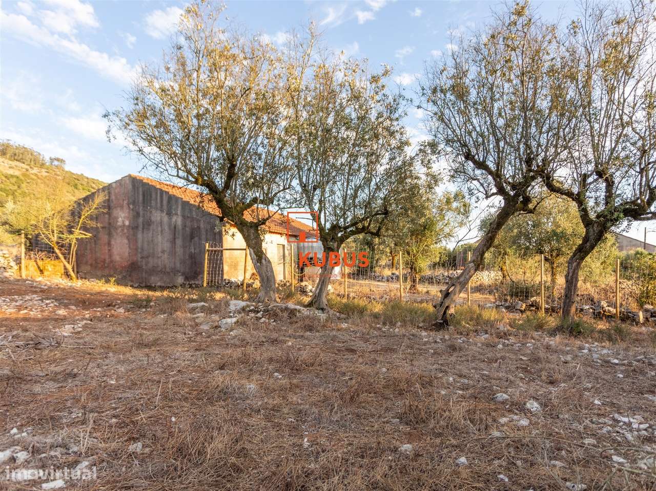 Quinta - Mendiga, Porto de Mós-4
