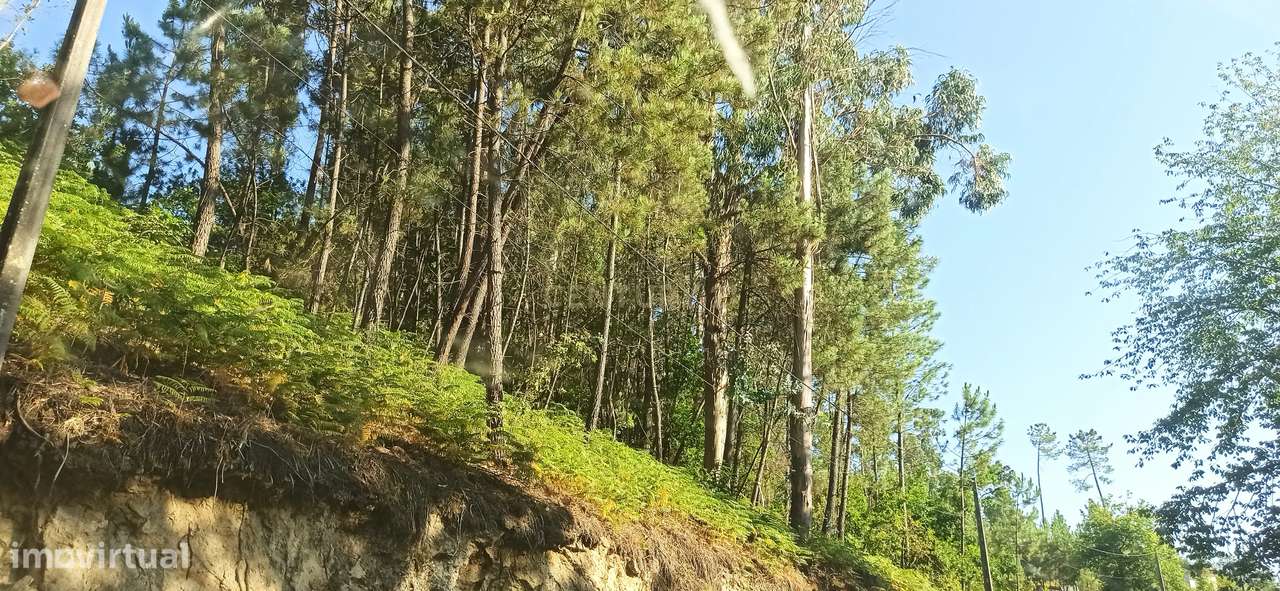 Terreno em Orgens - Grande imagem: 5/5