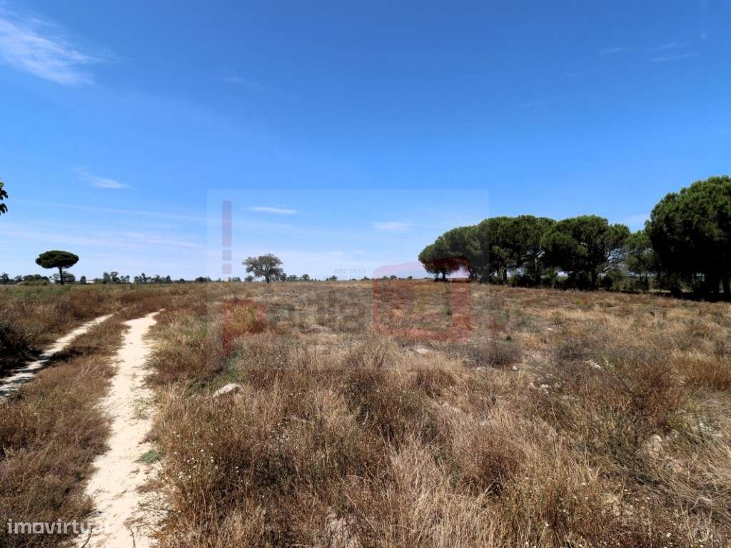 TERRENO COM 18150M2 FOROS DO CARRAPATAL - CANHA - MONTIJO - Grande imagem: 5/12