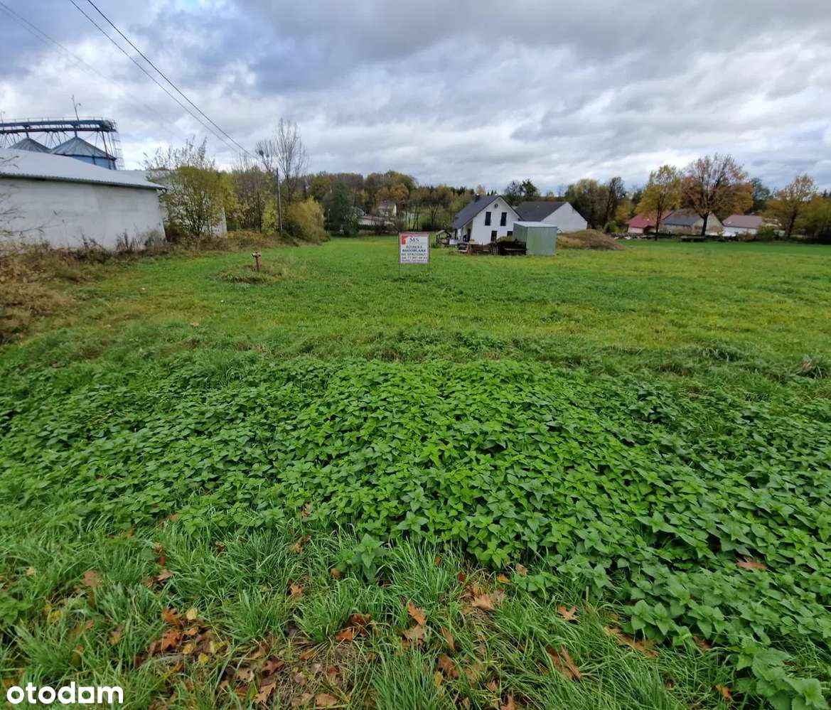 Na sprzedaż 3 działki budowlane o ogólnej powierzchni 5000 m2.-2