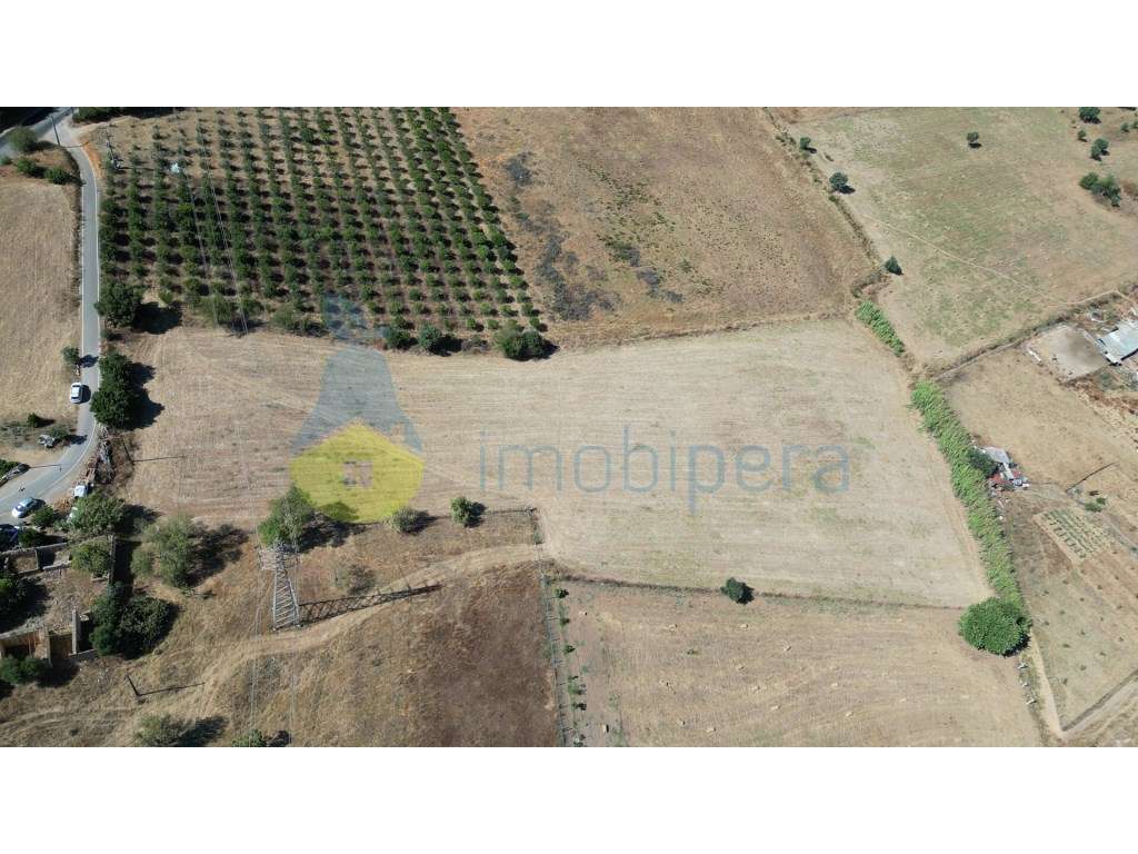 Terreno rústico para venda em Tunes - Grande imagem: 4/7