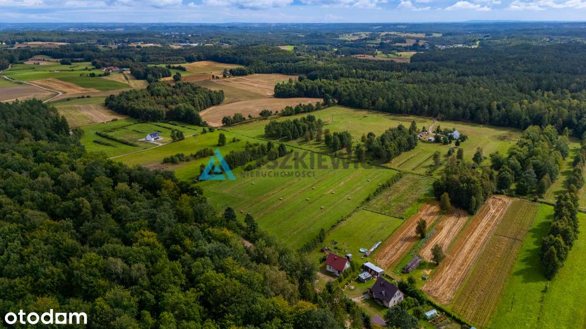 Działka na wsi? Sprawdź perełkę w pięknej okolicy - Pełny obrazek: 4/20