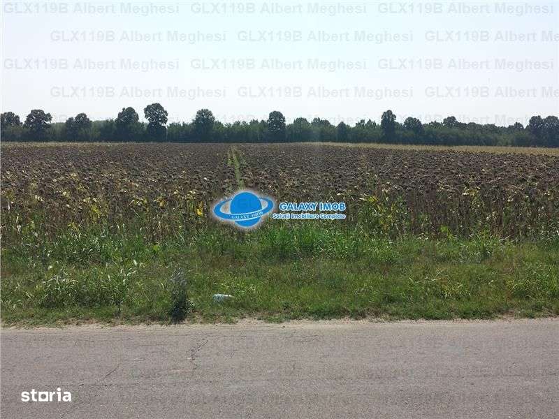 Vanzare Teren Intravilan  Herasti Giurgiu 2 HA - Imagine principală: 4/7