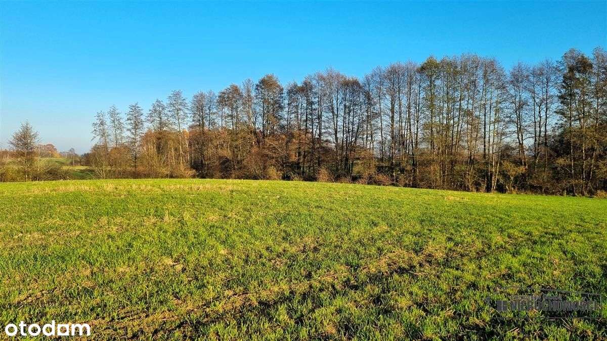 Parsęcko – działka 1,3 ha z możliwością siedliska.-12