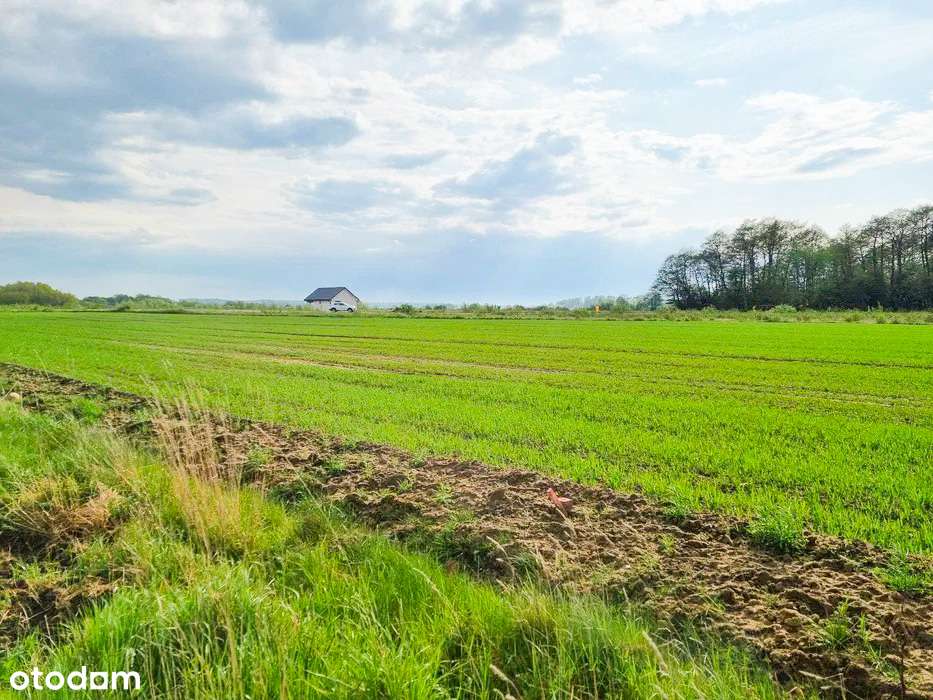 Łącko - działka budowlana blisko jeziora-4