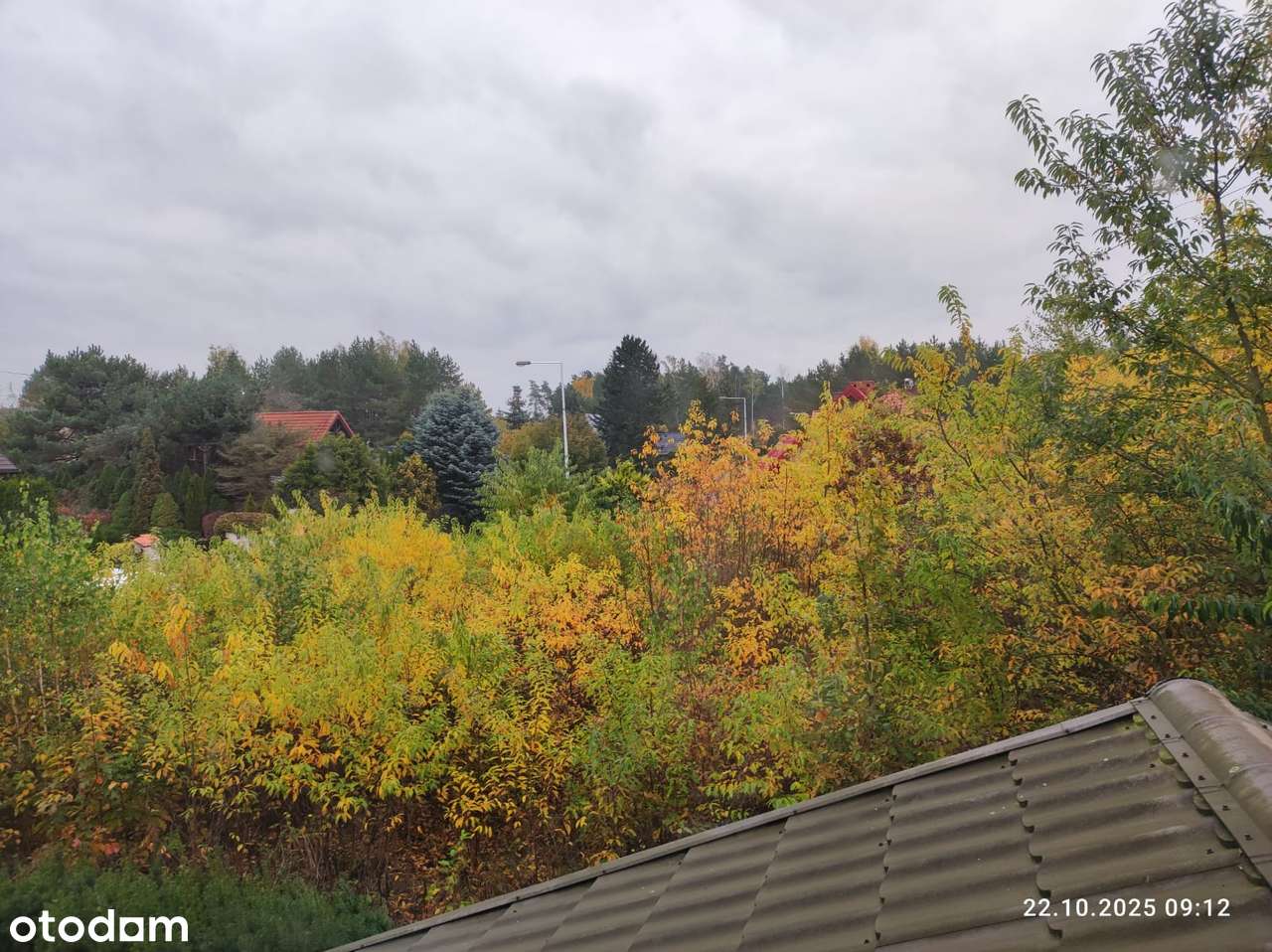 Działka 1271m² z dwoma adresami w cichej okolicy lasu, bez pośredników - Pełny obrazek: 5/5