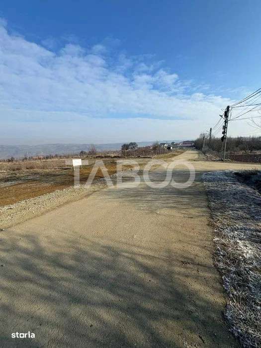 Teren intravilan in Daia Noua gata de construit casa - drum asfaltat - Imagine principală: 2/2