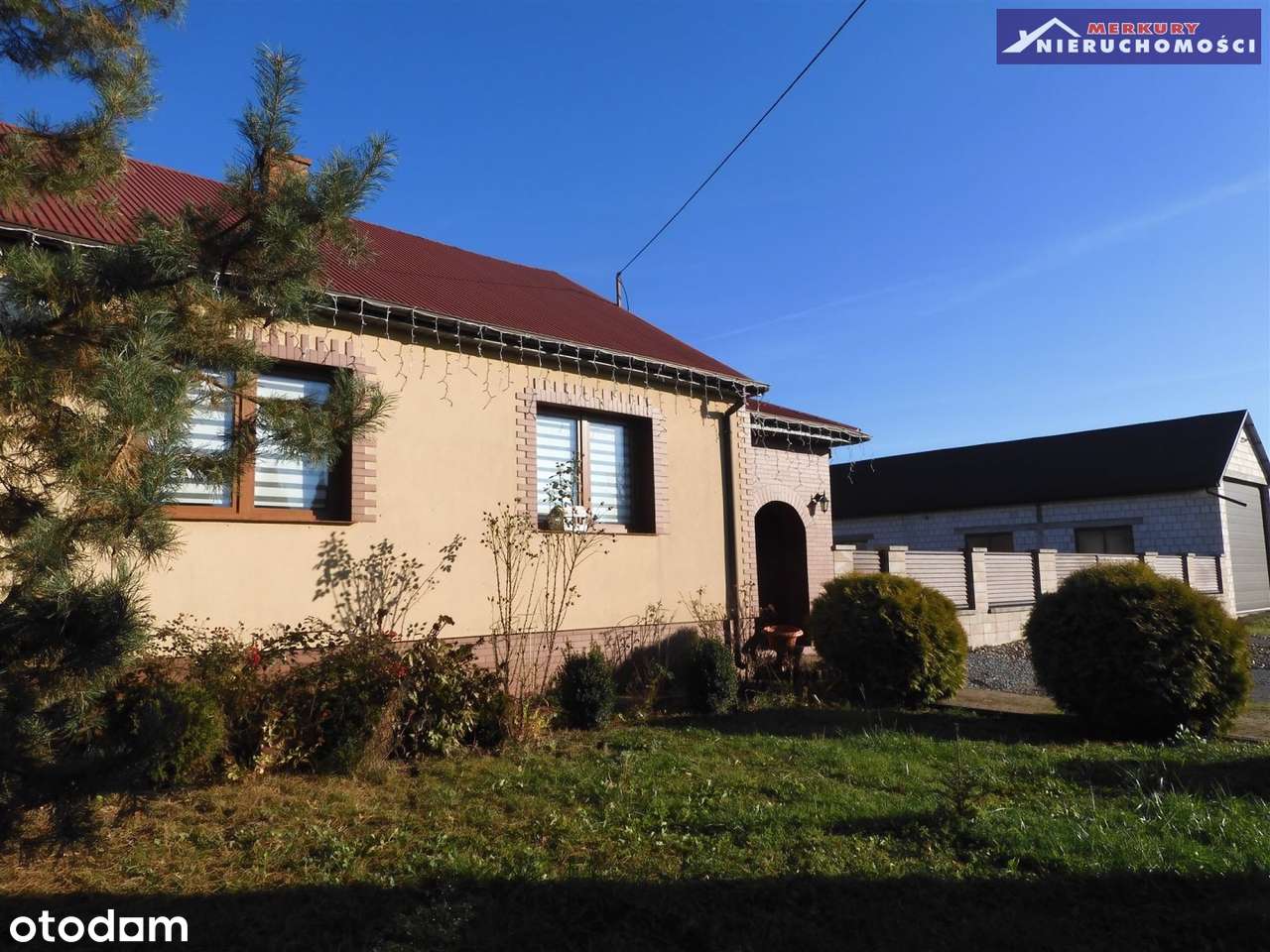 Prosperujące gospodarstwo rolne. - Pełny obrazek: 4/18