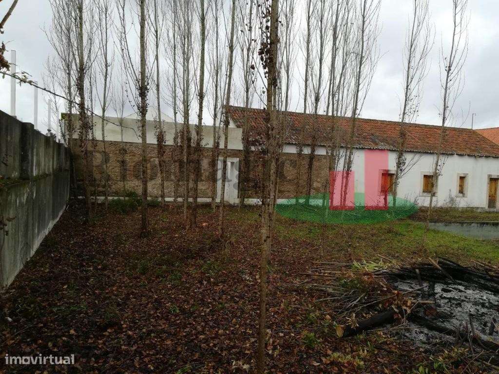 Moradia T6 Constância***RIOMAGIC*** - Grande imagem: 3/9