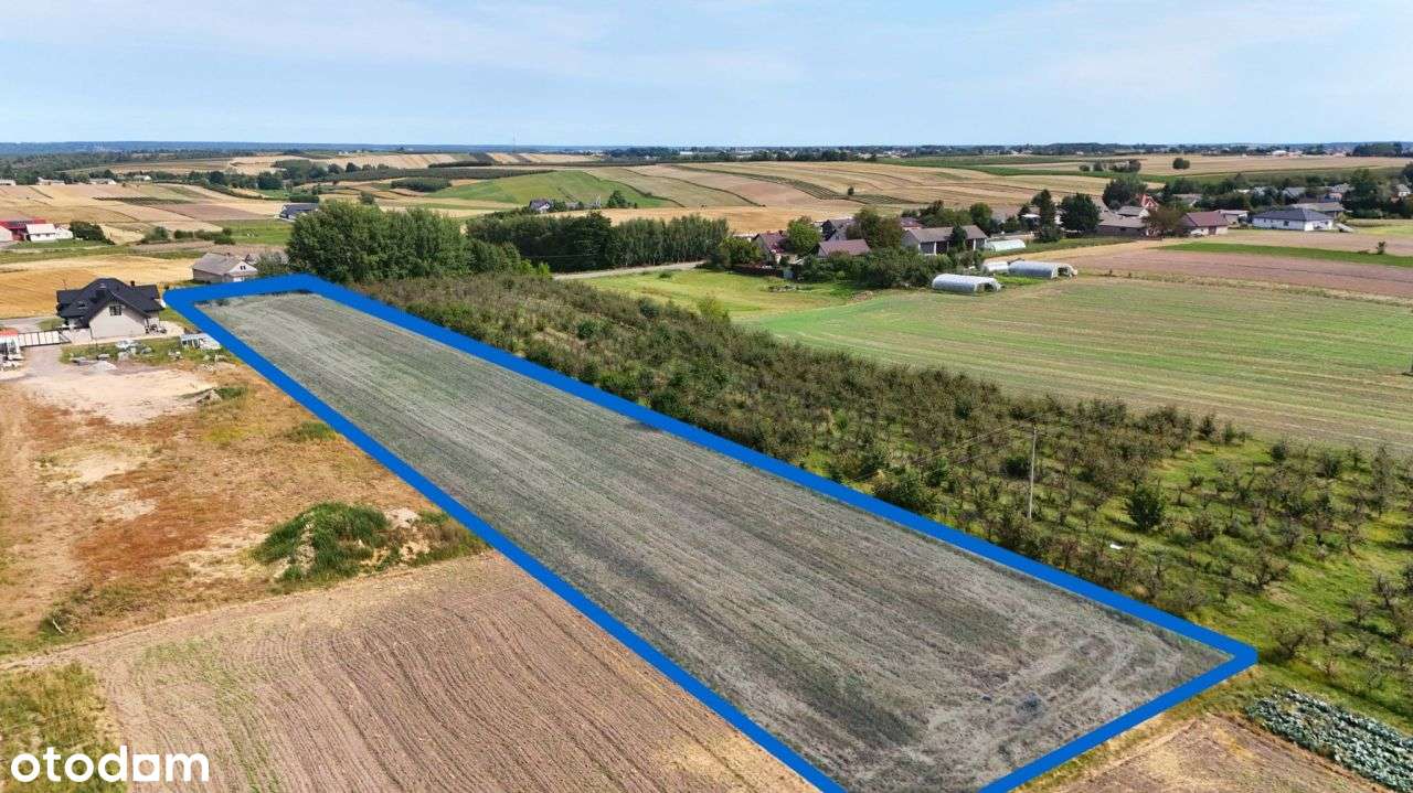 Działka rolno- budowlana z potencjałem - Pełny obrazek: 5/8