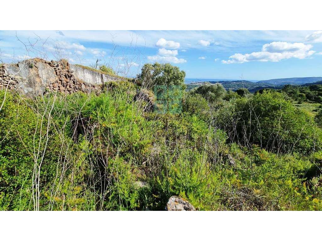 Quinta com 435.487 m2 na Serra da Arrábida, em Palmela, Setúbal-47