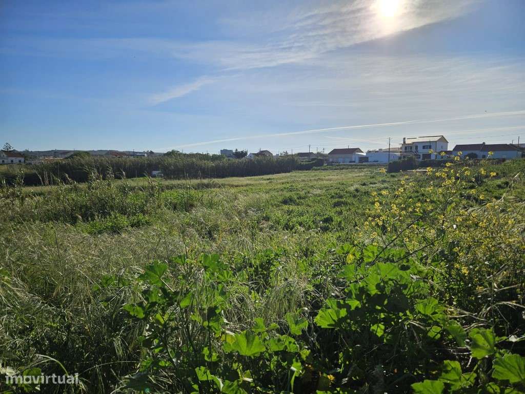 Terreno para construção entre a Foz do Arelho e São Martinho do Porto - Grande imagem: 3/13