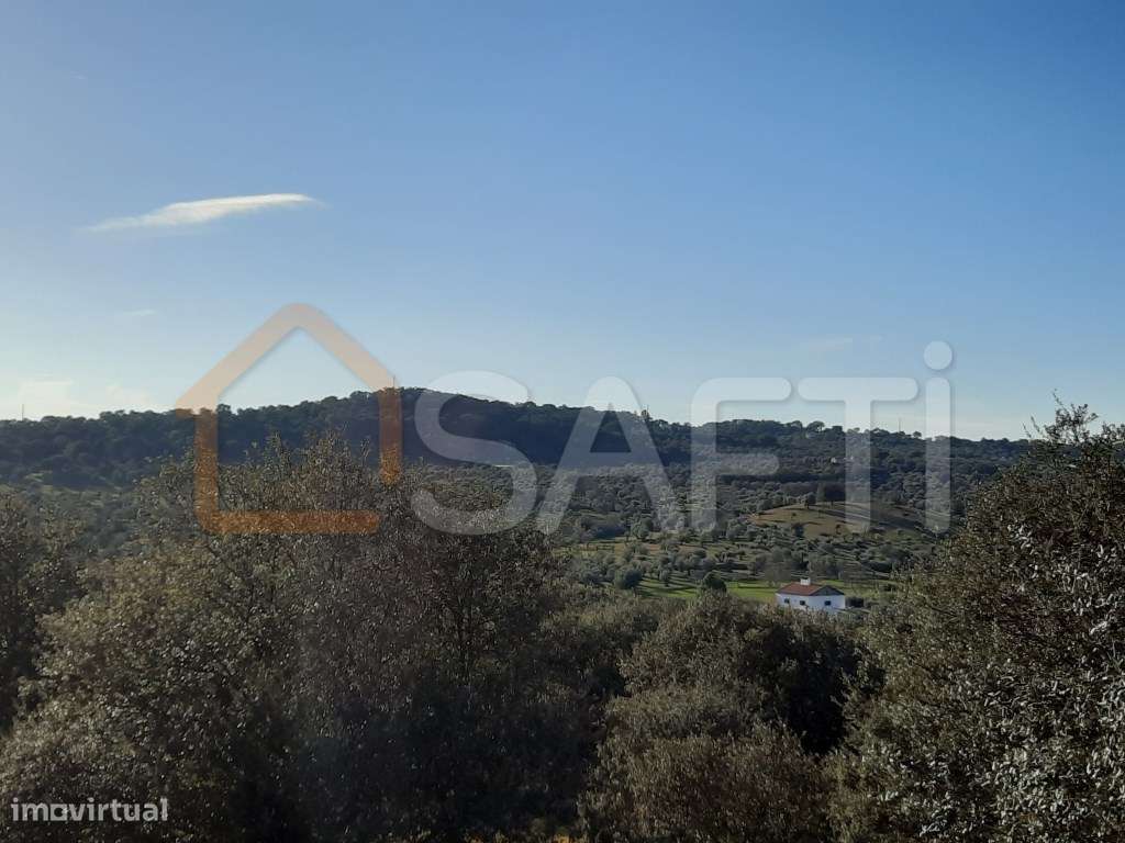 Quinta - Portalegre - Grande imagem: 5/26